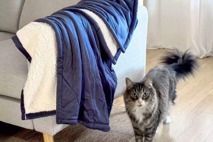 The Sunbeam Royal Mink Sherpa Heated Blanket elegantly draped over a sofa