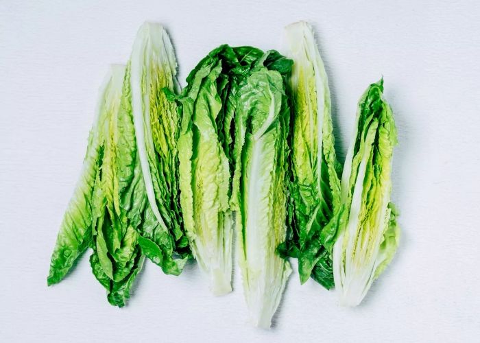Romaine Lettuce E. Coli Outbreak Before Thanksgiving