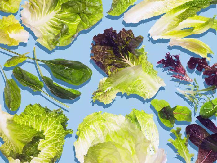 types of lettuce