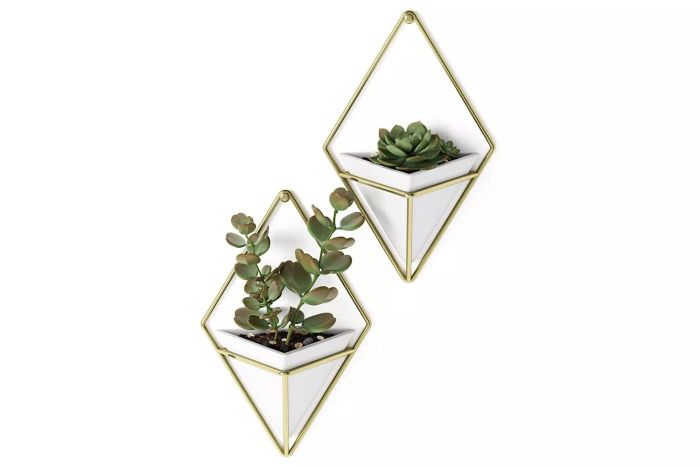 Umbra Trigg Hanging Planter Vase Wall Decor, Set of 2 Pots for Succulents, Cactus, Faux Plants, and More, Small, White/Brass