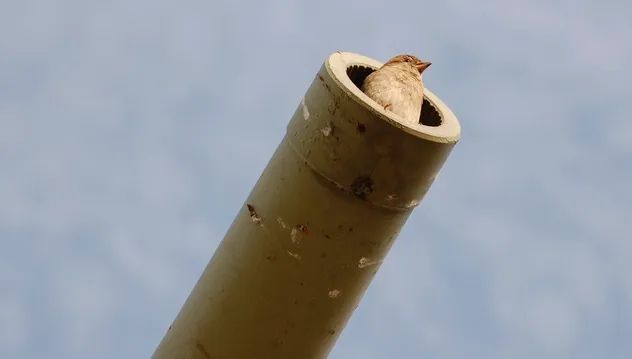 10_105558289