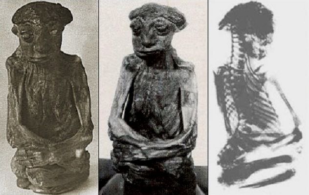 The San Pedro Mountain Mummy