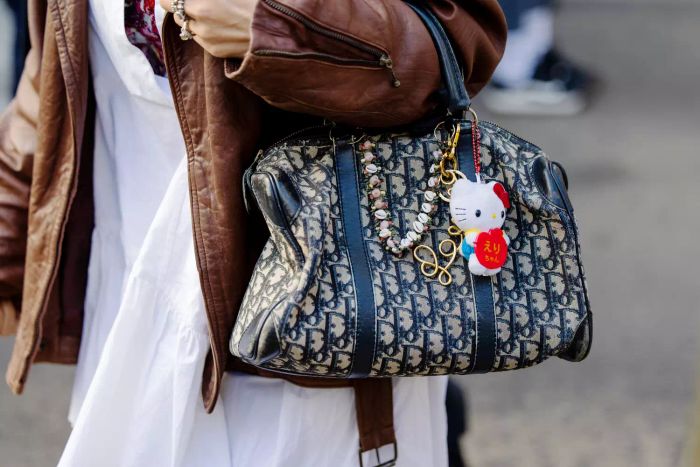 A fashion enthusiast carries a Dior bag outside the Dolce & Gabbana show during Milan Fashion Week Menswear Fall/Winter 2025-2026 on January 18, 2025, in Milan, Italy