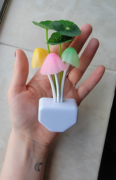 Mytour editor holding a white plug with pastel-colored mushrooms and blooming leaves attached.