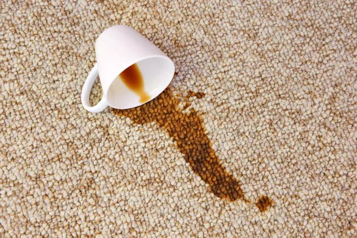A coffee spill on the carpet has left a stain on the floor.