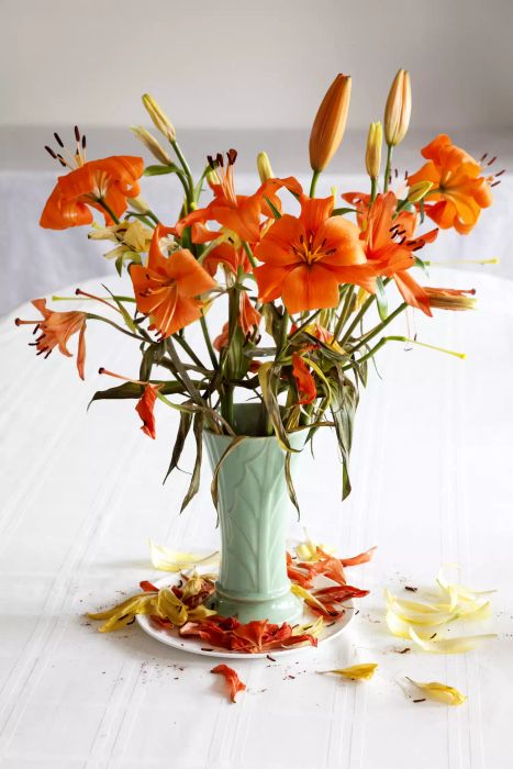 flowers wilting in vase