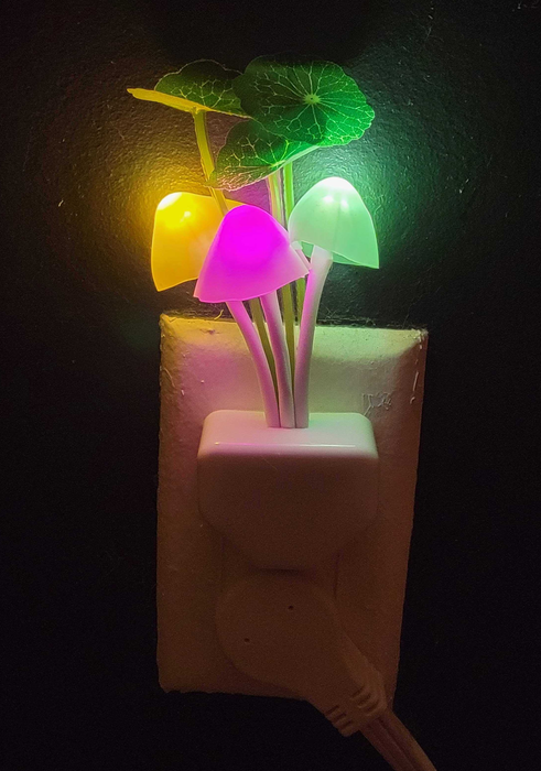 The LED mushrooms glowing in the dark, shifting through colors.