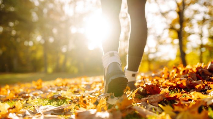 A woman enjoys a serene hike through a forest surrounded by autumn colors