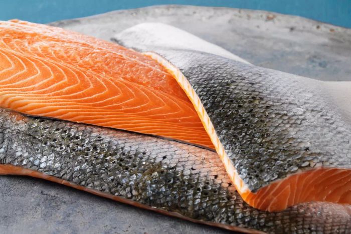salmon