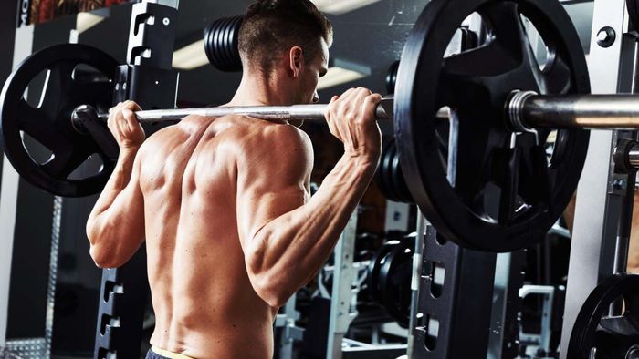 visual depiction of back muscles engaged during a squat