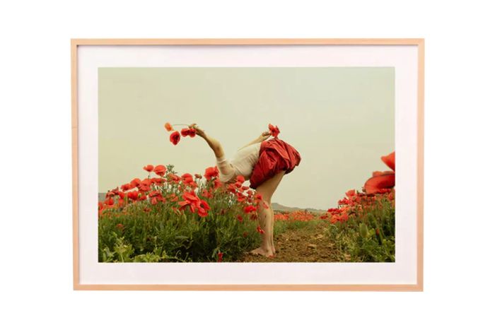 Artstar POPPY FIELD by CARLA SUTERA SARDO