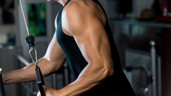 Tricep workouts