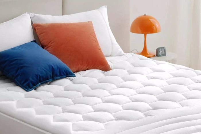 Bedsure Queen Mattress Pad
