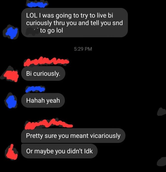 a person who believes that 'vicariously' is spelled as 'bi-curiously'