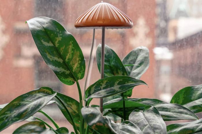 a mushroom-shaped grow light for a potted plant