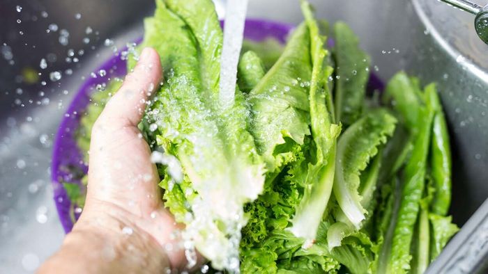 a person washing lettuce under a kitchen faucet