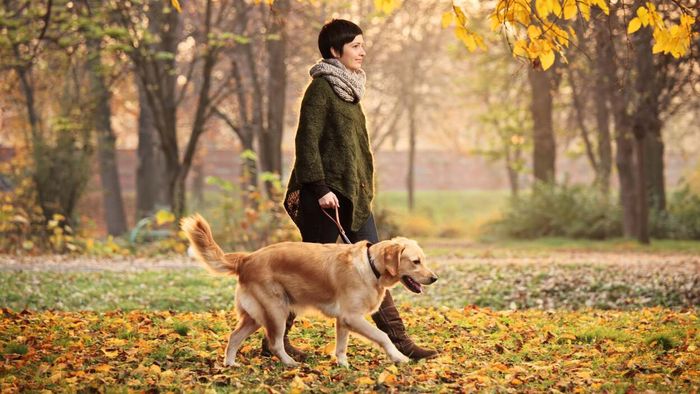 What’s the Ideal Number of Daily Steps? Science Weighs In