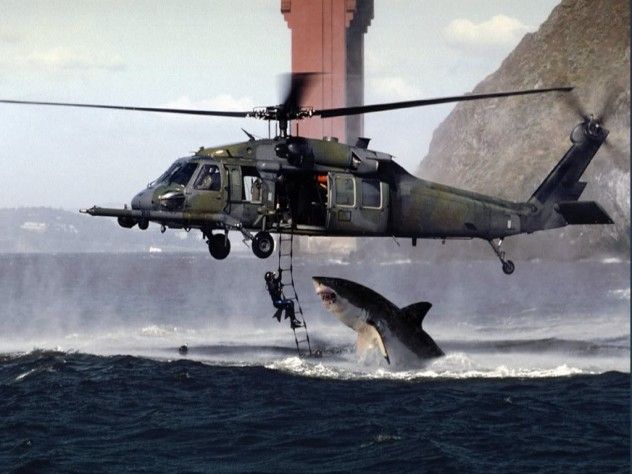 helicopter shark