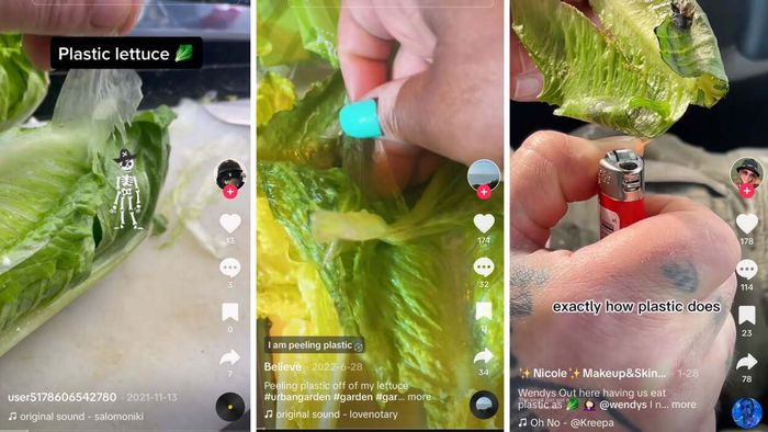 Screenshots from TikTok videos: two showing lettuce peeling, and one of a person holding a lighter near a lettuce leaf