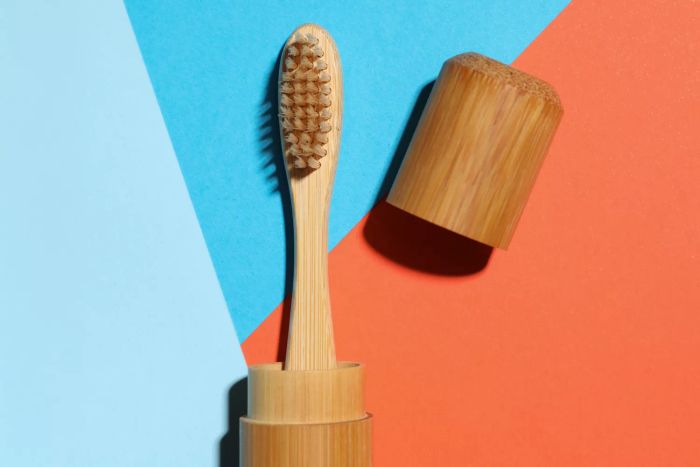 toothbrush with protective case