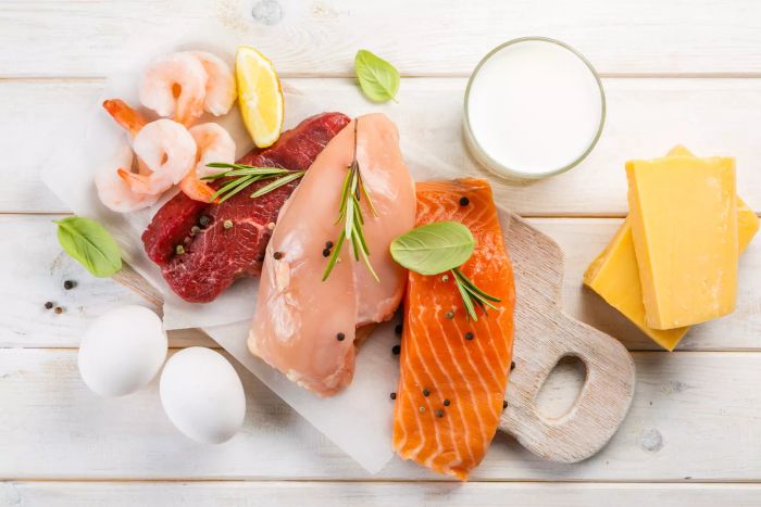 Animal protein for anti-aging