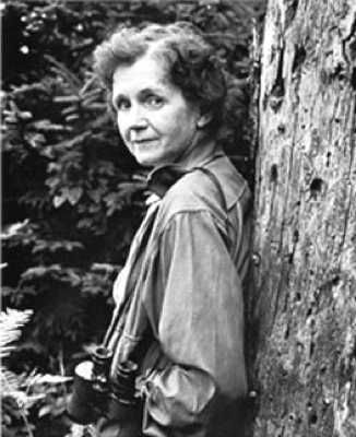 Rachel Carson is often credited with bringing environmentalism to the forefront with her groundbreaking book ‘Silent Spring’. The work focused on the devastating effects of pesticide use, particularly DDT, which, as Carson showed, concentrated in the food chain and posed a risk to wildlife and humans. Her book played a significant role in the eventual ban of DDT, though some critics have accused her of indirectly causing deaths from malaria due to the insecticide's discontinuation. Nonetheless, Carson’s efforts contributed to saving many bird species from extinction. Her most lasting impact remains in the way she brought environmental issues to public attention.