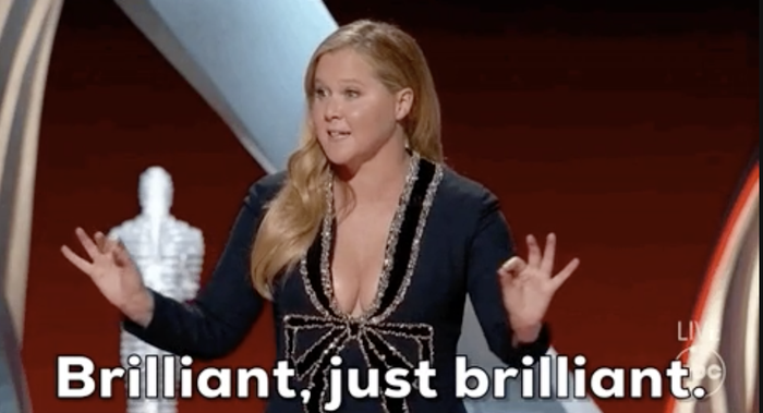 amy schumer remarking, "brilliant, absolutely brilliant"