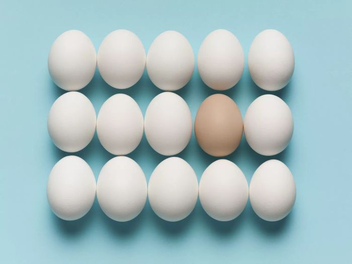 Brown egg with large white eggs