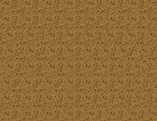 Stereogram