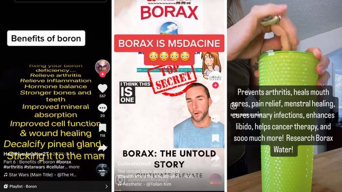 Screenshots of TikTok videos showing people 'eating Borax'