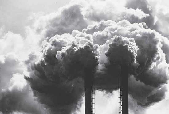 The Issue of Pollution
