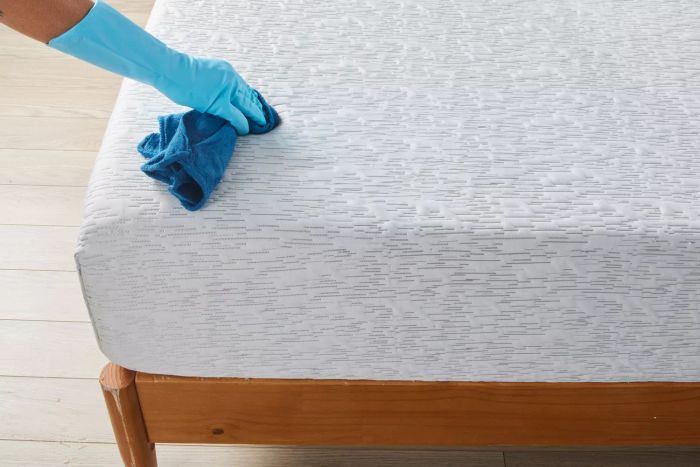 mattress cleaning process
