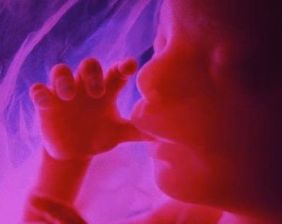 Baby In Mothers Womb