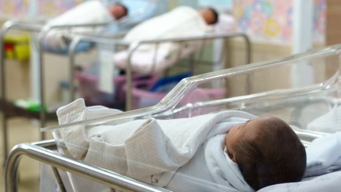 Infants resting in a hospital nursery