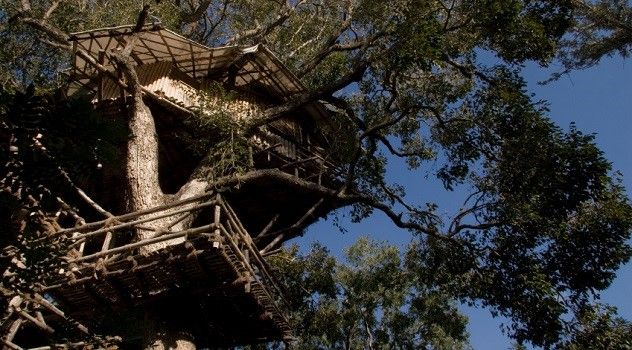 tree house