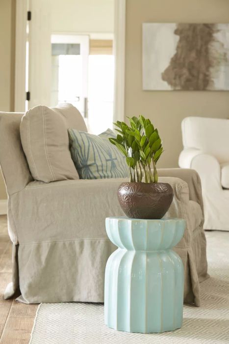 Low-Maintenance Houseplants: ZZ Plant in Living Room