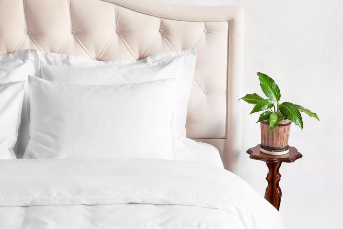 This year's most common decorating blunders