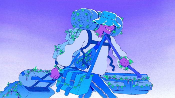 A Guide to Traveling Stealthily with Cannabis