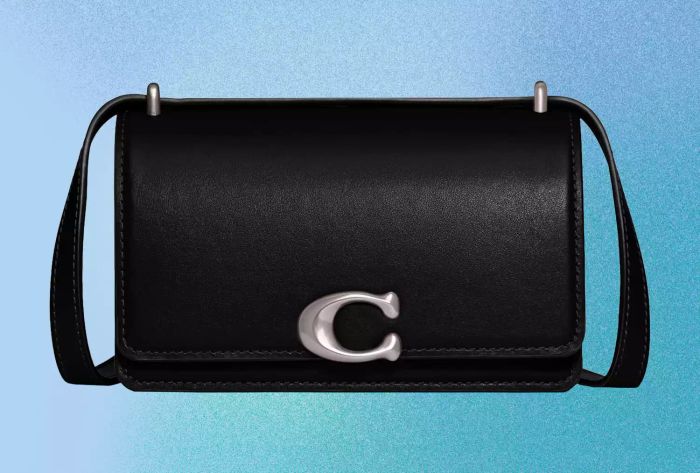 rare deal on Coach bags