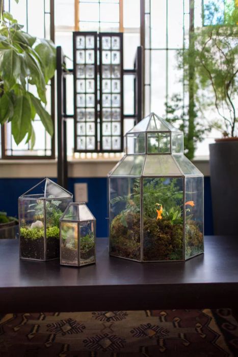 In a Drafty Room: Moss Terrarium