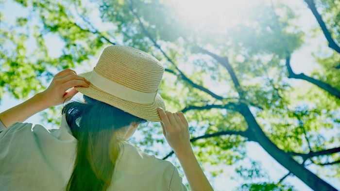 A woman shielding herself from the sun with a hat, rays filtering through the trees