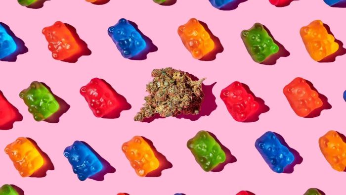 Why not create your own cannabis-infused treats?