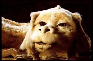 Falcor