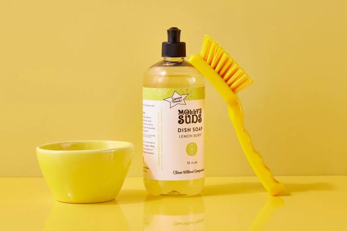 Soap, a bowl, and a brush for cleaning shoelaces