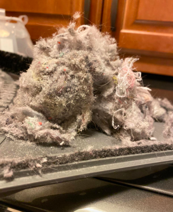 A customer review photo showing a heap of lint removed from their dryer