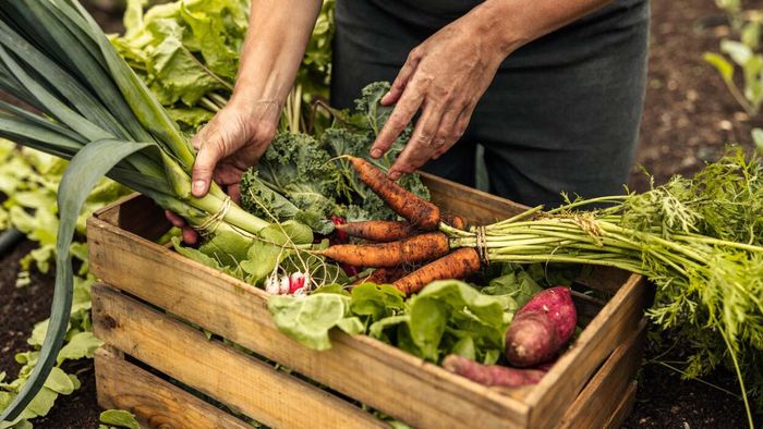 'Organic' products