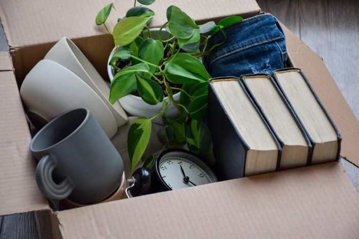 Engage in frequent mini decluttering sessions