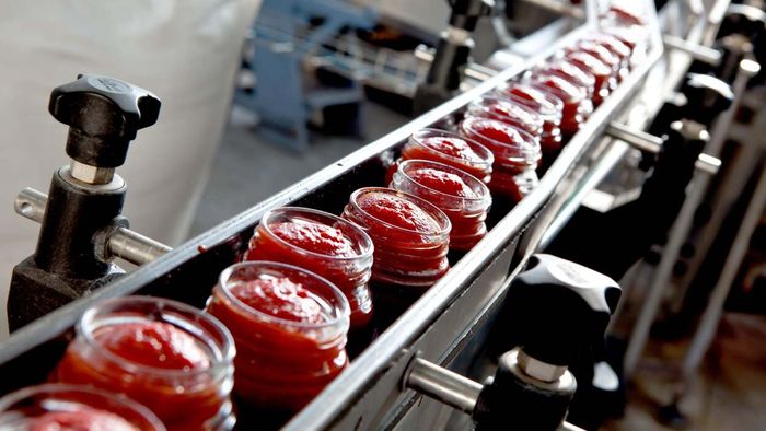 Why We Should Move Away from the Term 'Ultra-Processed' Foods