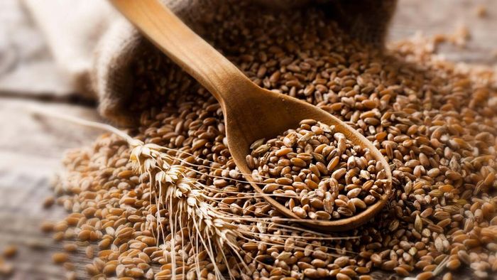 “Wheat”