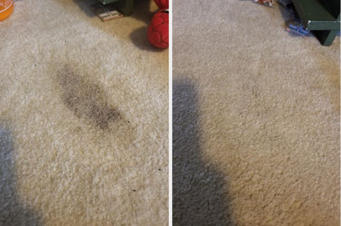 A before-and-after image showing a pet stain completely removed from a carpet